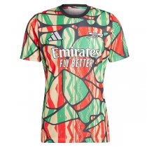 24-25 Arsenal Pre Match Jersey Green